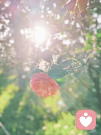 “接受每一刻的到來-愉悅的、令人不快的、好的、壞的或令人厭惡的—然后與他們共處，因為他們就在眼前。”卡巴金配圖