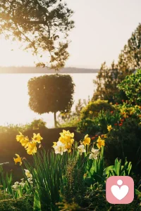 最近生活有意放慢了一些節奏，心靈也有了更多的彈性去感受每天面對的人和事。包括參加一些高校組織的一對一模擬咨詢和團體咨詢，不斷加深的知識性補充，生活中遇到瑣事煩惱的思考等等。這個階段所經歷所處的狀態，帶給我的啟發是，我們學習或者經歷或者參加心理咨詢，最顯著的收獲也許是解決了當下問題，但本質意義可能還應是越來越深刻地了解自己。傳說中，德爾菲神廟上刻著一句“KnowYourself”，古圣先賢的智慧不容小覷，簡單一句道明了人一生的終極追求。配圖