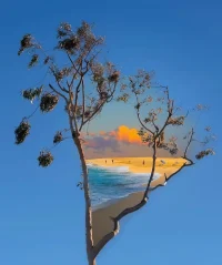 如果你的心情生病了，那就先當(dāng)個(gè)植物，吃吃喝喝，好好睡覺，曬曬太陽，慢慢長(zhǎng)大，啥也不想。然后，再變成一只動(dòng)物，接受所有的欲望，正視你的需求、憤怒和競(jìng)爭(zhēng)，接著，變回一個(gè)小孩，重新照顧自己，找回對(duì)世界的好奇、熱情和勇氣。配圖