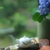 奕然老師(傾聽 咨詢)