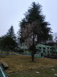 小丑的故事，想必大家都知道。

那是一個(gè)可以讓任何人快樂(lè)，自己卻沒(méi)法快樂(lè)的人。

那是一個(gè)可以讓任何人大笑，自己卻需要用兩只手硬生生的拉扯著嘴角，才能擠出來(lái)已經(jīng)變形了的笑臉。

后來(lái)他走了極端。因?yàn)閮?nèi)心有個(gè)黑洞，也因?yàn)閺膩?lái)沒(méi)有遇見(jiàn)溫柔。

如果小丑，在一開(kāi)始出現(xiàn)問(wèn)題的時(shí)候，在一開(kāi)始覺(jué)得自己無(wú)法感受快樂(lè)的時(shí)候，遇到一個(gè)“像我一樣溫柔的女人”??，或許就會(huì)是不一樣的結(jié)局。

女生的溫柔是男生的陽(yáng)光，可以照亮男生內(nèi)心的黑暗。
男生的溫暖是女生的能量。可以讓女生擺脫內(nèi)心的不安。?配圖