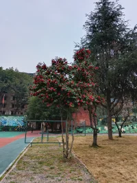男人們，遇到不開心的問題，喜歡自己慢慢消化。



女人們，遇到不開心的問題，喜歡說給老公聽。



所以，女生，不去打擾他。讓他慢慢自己消化。消化完了他就回來了。哈哈



而男人，多傾聽她，安慰她。她都說出來了，有人能理解她了，她就溫柔了。





當然就像我前面寫的，有了情緒你得表達出來，你不說出來，你需要個人空間，你需要分享心情，你不說，總不能老讓對方猜吧，猜著猜著累了，就走了。



就算你不善言辭，也要把這個訊號傳遞給對方，讓對方明白。配圖