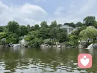 有时候人也像夏天的树，什么都不做，只是安静晒着太阳，也会慢慢恢复一点生命力配图