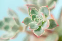 愛是每時每刻的選擇，
她不在外面，她埋葬在內心深處，
等你療愈，等你看見??。
這個充滿陽光的下午，
你聊遇了嗎？??配圖