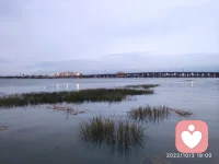 在生命之流里，我感到安全。配圖