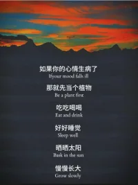 如果你心情生病了配圖
