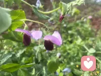 我们把关注点放在自身缺点上了就没有办法看见自己的优点，所以想要更加自信请尝试减少对缺点的专注提升自己的优势吧！