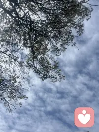 当你看见曾经让自己气愤的现象再次出现在你第一反应是事情的真相不一定是大家认为的那样你就开悟了！