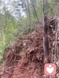 当我们一直去自证别人给你贴的标签是不正确这件事的时候，我们就陷入了自证陷阱，相信你，你有你的发光点他有他的准则和另一种判断，不需要纠结是否必须得到他的认可才是优秀的你，早安，祝你愉快！