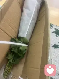 以其内耗自己，不如给用鲜花打点一下生活！配图