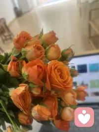 以其内耗自己，不如给用鲜花打点一下生活！配图