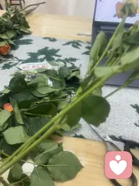 以其内耗自己，不如给用鲜花打点一下生活！配图