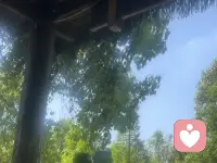 闲坐人间，只管听风不问俗事。