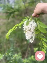 世界上有太多的人每一刻都在自我疗愈！