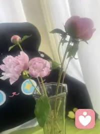 从花开到绽放，它们替我细数每一寸慢下来的光阴。每一瓣都在低语呢喃：你呀，值得被这世界温柔地捧在掌心。