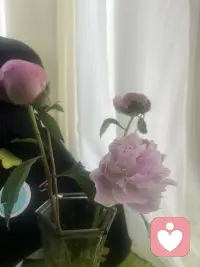 从花开到绽放，它们替我细数每一寸慢下来的光阴。每一瓣都在低语呢喃：你呀，值得被这世界温柔地捧在掌心。