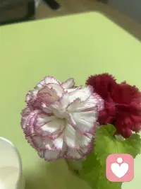 每一天都值得开心，每一刻心情都值得记录，早安！