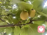 哎呀呀，有点累，歇一歇，倾听师继续在线！