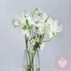 沐沐情感