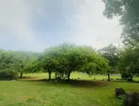 人只活一次，不要给自己那么多条条框框，活得尽兴。配图