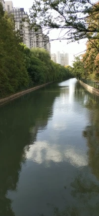 人的心理在跳跃变化，不要老认死理，心态容易变老变僵