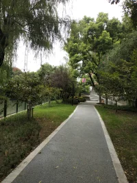说说现在对做作的认识。以前对做作不屑一顾，现在认为做作是自我成长，管控情绪的开始