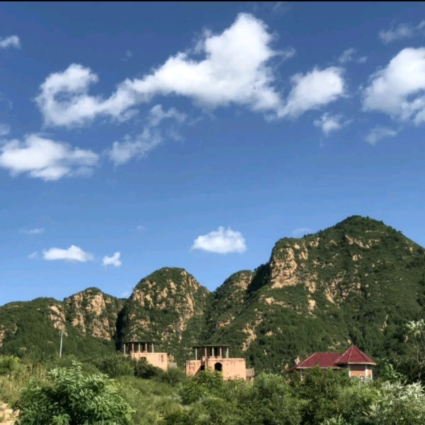 紫易【心灵捕手】