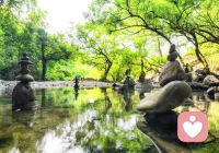 很多女生不是不优秀
是一直在关系里委屈自己
明明很努力
却总是被忽视、被冷落
如果你也这样，可以找我聊聊配图