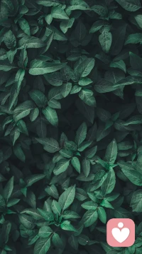 🤔 你是否在追问“我活着的意义是什么？”。心理咨询的深度，在于探索那些看似无关紧要的碎片，最终拼凑出你独一无二的人生价值。这不是答案的提供者，而是帮你找到答案的引导者。🧭 准备好，进行一次深刻的自我对话。#人生意义 #深度探索 #自我发现