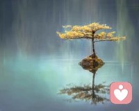 > 💔 为什么明明很爱，却总是在关系里受伤？💔 为什么越努力沟通，反而越是误解？💔 关系里的“不对等”，才是最消耗人的能量。如果你也困在“付出与回报不成正比”的循环里，也许，你需要的是一套新的“关系操作系统”升级。🚀