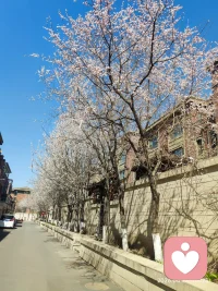 > 🌙 累了吗？ 也许你只是在用“坚强”为自己设了一个看不见的牢笼。 💖 允许自己脆弱，也允许自己被好好爱着。 🌙 你的心，值得一个温柔的出口。