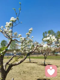 🌷 **“总是习惯为别人设限，却忘了为自己留一片舒展的空间。”**

⚠️ 你是否总在用“对不起”来为别人消耗自己？习惯了把别人的情绪当作自己的责任？

💎 真正的强大，不是无止尽地付出，而是懂得温柔且坚决地说“不”。

🌱 从「懂事」到「懂得照顾自己」。这份自我价值感，值得我们认真经营。配图