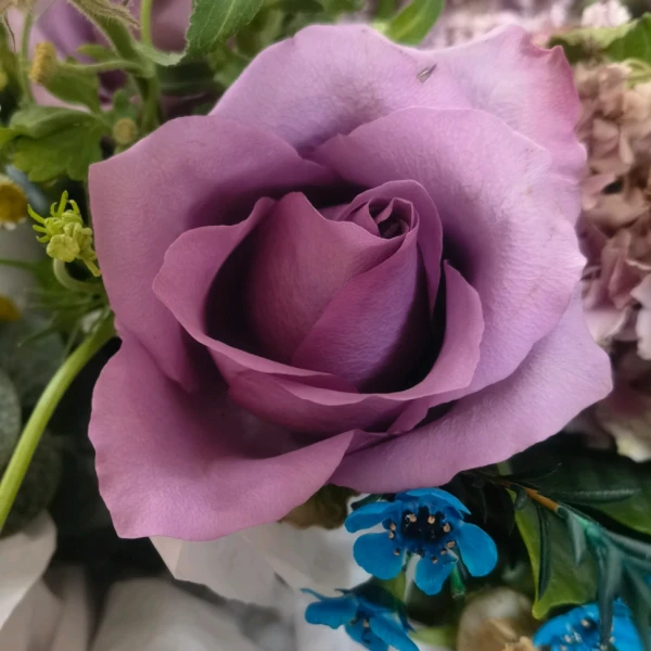 小糖老師~陪伴傾聽