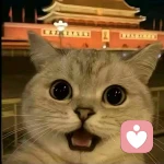 月亮供電不足的頭像