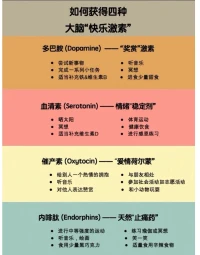 如何獲得四種大腦的快樂激素配圖