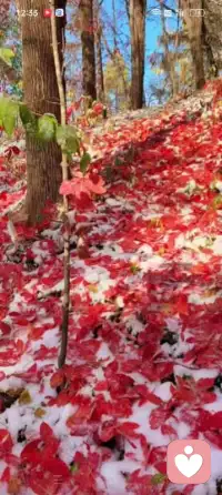 多走近大自然配圖