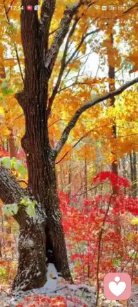 多走近大自然配圖