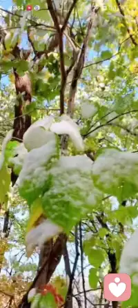 多走近大自然配圖