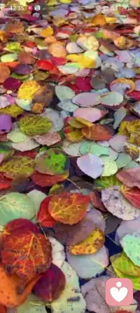 多走近大自然配圖