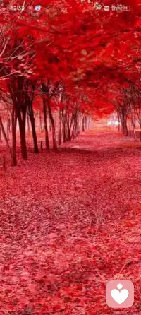 多走近大自然配圖