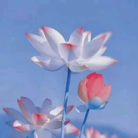 人是如何抑郁的？答:1自卑，自卑的人很少有建设性思维，有的是结论性和破坏性思维！内在和谐才会健康！心里健康一直被破坏，身体就不健康了。如何自卑变自信：自信是一种心态是一种选择，不是结果！你觉得你行就叫自信！到底行还是不行根本就不重要！你可以选择。2掌控欲:掌控欲为抑郁症埋下了伏笔，要放下控制，掌控越强心里越脆弱。3敏感（在乎在意），外界发生所有的事你都看的到，在意且在乎！越敏感的人越爱照顾人。需要有满不在乎的精神。4悲观:思考过去，总有受伤体验，思考未来，总有担心情绪。感恩遇见！感谢您的阅读！配图