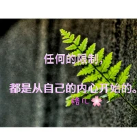問題視角看孩子，孩子生命黯淡無光；用優(yōu)勢視角，賞識視角，成長視角看孩子，孩子生命才會綻放精彩，創(chuàng)造奇跡!配圖