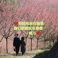 正確的認知:內(nèi)在世界是源頭，外在世界是支流，內(nèi)在世界有了，外在世界才會呈現(xiàn)，外在所擁有的一切都是內(nèi)在本具足的，答案都在內(nèi)在世界。反之，內(nèi)在不和諧，外在定會一片混亂、雜亂、沖突一個接著一個，真可謂雜草叢生……配圖