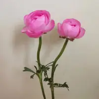 外求則迷，內修則明配圖