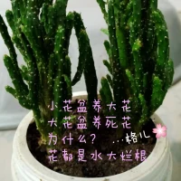 現(xiàn)在是萬物互聯(lián)時代，人的感知力普遍提升，尤其是孩子，伙伴們認同嗎配圖