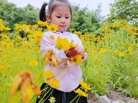 情到位了，理才能過去，關(guān)系和諧了，你說什么他都愿意聽，這叫情理之中、合情合理配圖