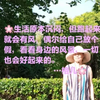 提升自己“秒懂”的能力，秒懂自己，秒懂他人，讓自己更簡單、更輕松、更快樂。配圖