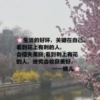 我每天給我的愛人、孩子說出的話都是正面積極的語言和結(jié)論，因?yàn)樗麄兊纳锎嬖谥鵁o限的可能性。我每天在內(nèi)心儲(chǔ)存愛，美好，健康，快樂，財(cái)富，幸福和富有。從優(yōu)勢視角看待生命，生命無限精彩。我感恩、珍惜當(dāng)下?lián)碛械囊磺校８Ｊ澜缛f物美好、和諧！配圖
