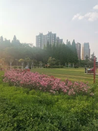 父母是因，孩子是果。孩子是什么樣，反映的是其身后父母的言傳身教。你教與不教，都是在教。因為，你就是他模仿的對象，你的處事方式，就是他的風向標，你的一言一行，都是他潛意識里最深刻的印記。配圖