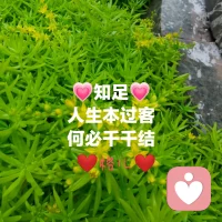 受害者心態的人沒有聆聽力和專注力，他的內在裝滿委屈傷痛，憤怒抱怨，使得他投射出來的要么隱忍，要么就懟天懟地懟空氣，讓別人見到他都感覺是倒霉的化身，道理都懂，但是……，你說什么他都懂，就是后面緊跟的一定是但是……麻木心態，“扯但”人生、“玩但”人生。怎么辦？萬般皆下品惟有讀書高！讀書學習是自我改變的唯一途徑。配圖